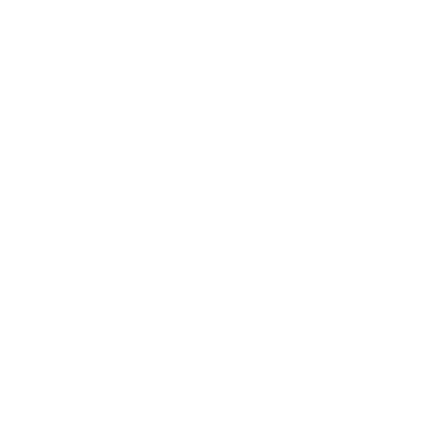 fight camp