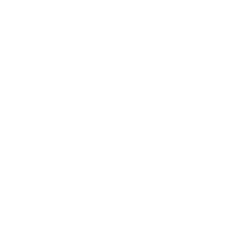 rei